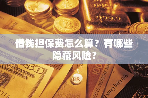 济南借钱担保费怎么算？有哪些隐藏风险？