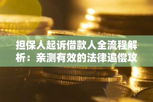 济南担保人起诉借款人全流程解析：亲测有效的法律追偿攻略