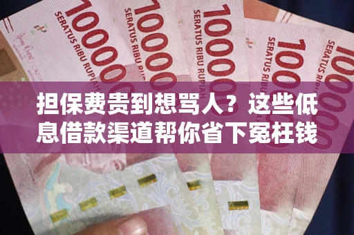 济南担保费贵到想骂人？这些低息借款渠道帮你省下冤枉钱