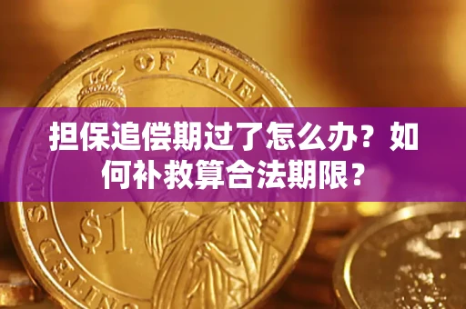 济南担保追偿期过了怎么办？如何补救算合法期限？