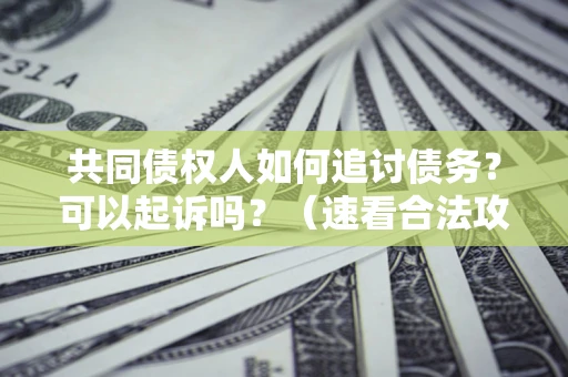 济南共同债权人如何追讨债务？可以起诉吗？（速看合法攻略）